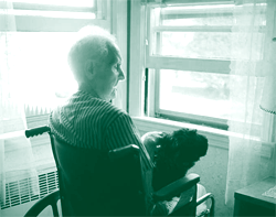 A picture of an elderly man in a wheelchair looking out of the window of his Section 811 apartment.