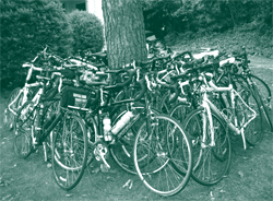 A picture of Bike and Build participants' bicycles parked around a tree.