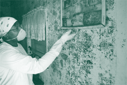 A picture of a woman inspecting mold damage to her home.