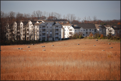 A picture of farmland with housing in the background. 