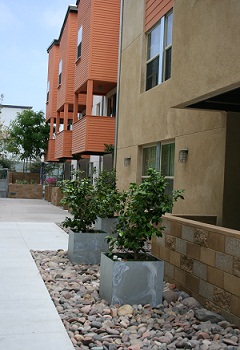 Courtyard view of Lillian Place development in San Diego, California.